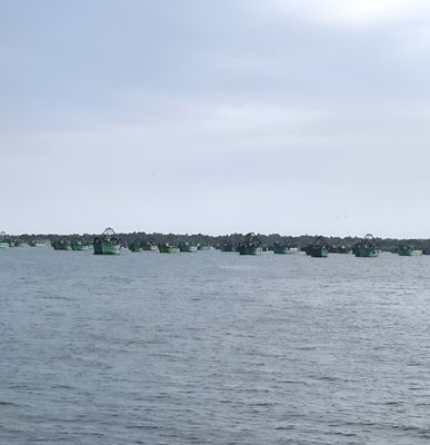 WhatsApp Image 2025 10 29 at 13.47.08_4ff19ac7